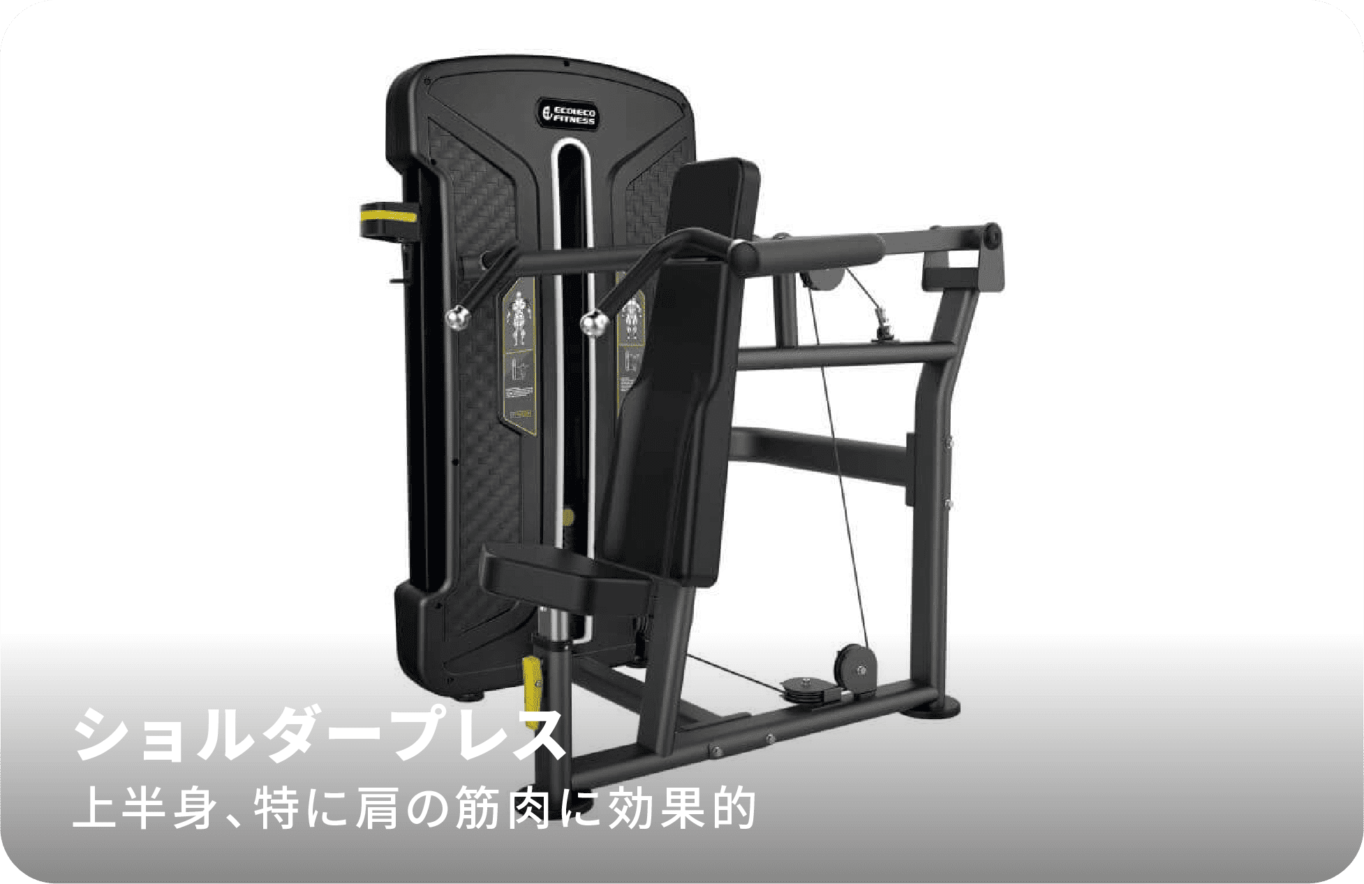 ショルダープレス